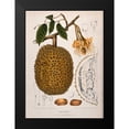 thumbnail image 2 of Van Nooten, Madame 11x14 Black Modern Framed Museum Art Print Titled - Durian, 2 of 5