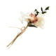 thumbnail image 4 of Ramo de Flores secas naturales Cateissary HS-01 Type2 NO2, 4 of 6