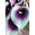 thumbnail image 5 of Mini Artificial Calla Lily 10 Stem Bridal Bouquets Artificial Latex Real Touch Flowers for Home Party Decor (Teal Blue White), 5 of 5