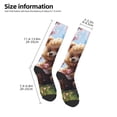 thumbnail image 3 of Bingfone Compression Socks for Women and Men Long Socks for Running Athletic Cycling Nurse-Romantic Floral Bear, 3 of 8