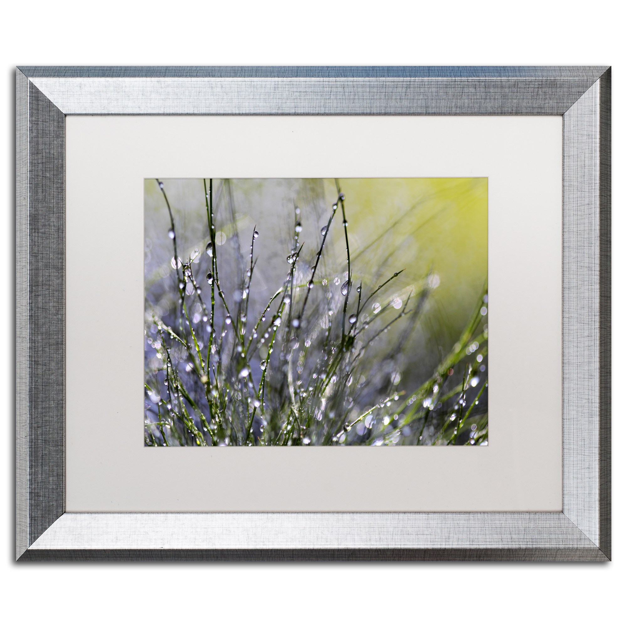 Trademark Fine Art "Spring Morning" Canvas Art by Beata Czyzowska Young, White Matte, Silver Frame