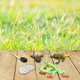 thumbnail image 1 of Figuras de Figuras de rana arbórea de Figuras de Biología Ciencia Figuras de animales Juguetes ños Decoración Rana de árbol de Salvador Juego de crecimiento, 1 of 10
