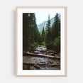 thumbnail image 2 of Wasatch Wilderness - Utah Photography Forest Nature Woodland Wilderness Scenic Mountain Water Unframed Wall Art Print 4 x 6 inches, 2 of 60