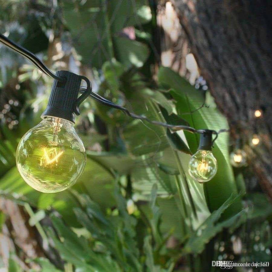 Brightech Ambience Outdoor String Lights With 25 G40 Clear Globe Brightech Ambience Outdoor String Lights With 25 G40 Clear Globe Bulbs Commercial Quality Ul Listed Indoor And Use Natural Warm White Light