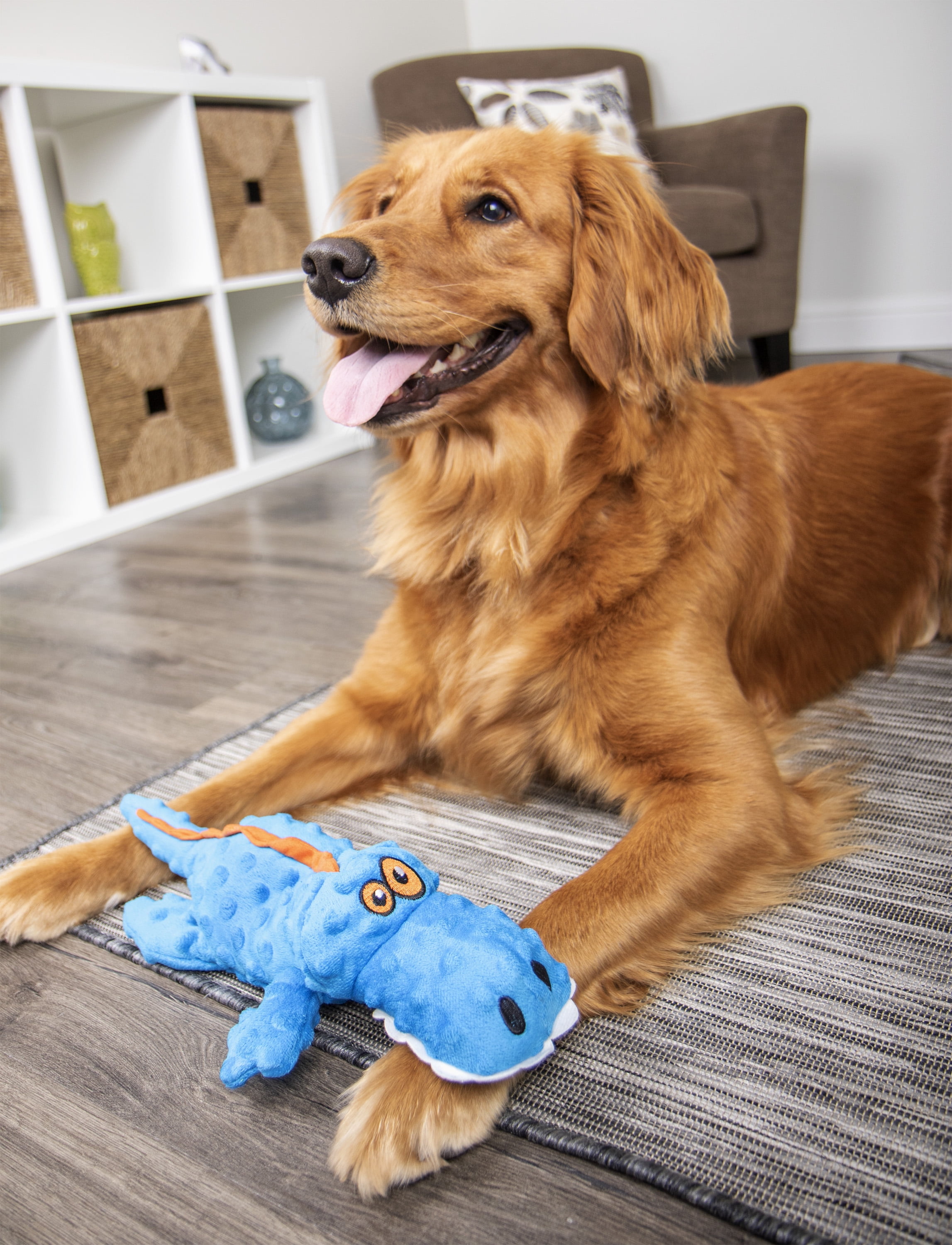 goDog Gators Squeaky Plush Dog Toy: $8, 'Almost Indestructible