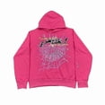 thumbnail image 2 of Spider Web Graphic Hoodie,cotton Pullover Sweatshirt For Men And Women, 2 of 4
