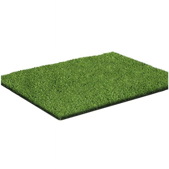 Artificial Grass, Professional Dog Grass Mat, Toilet Training Carpet, Large Lawn Outdoor Carpet Terrace Lawn(80x100cm)