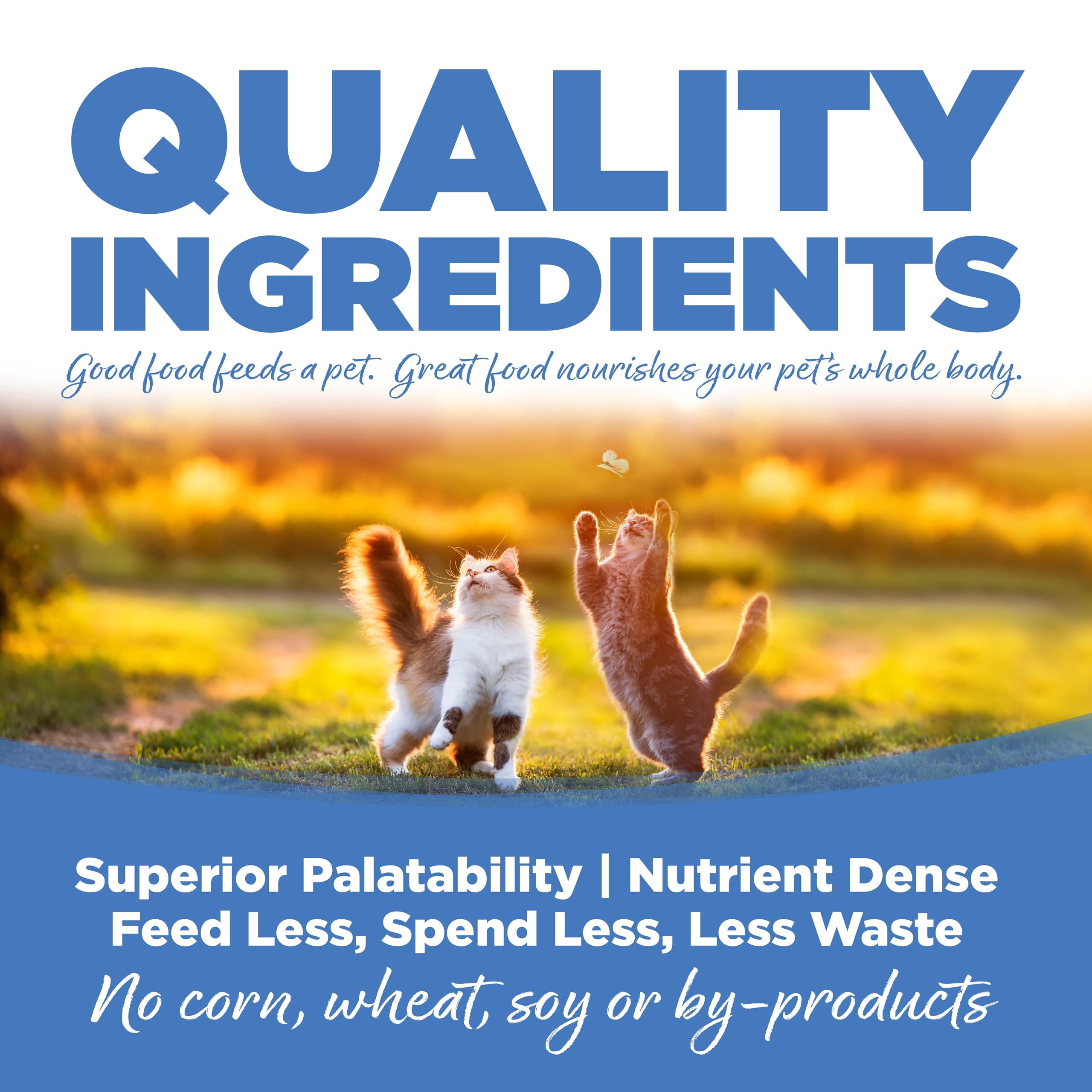 Nutri Source Chicken, Turkey, Lamb and Fish Kitten & Cat Food 5-oz, case of 12