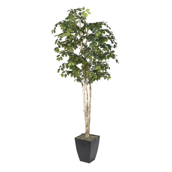 D&W Silks 8' Sakaki Tree in Black Metal Planter