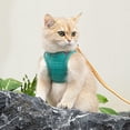 thumbnail image 1 of Cat Harness Cat Soft And Breathable Vest Cat Leash Easy To Wear For Cats Walking And Traveling, 1 of 4