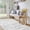 Grey, variant on 4x5 Washable Entryway Rug, Modern Moroccan Runner, Soft Non-Slip Low Pile Floor Carpet for Kitchen, Living Room, Bedroom, Home Office, Black