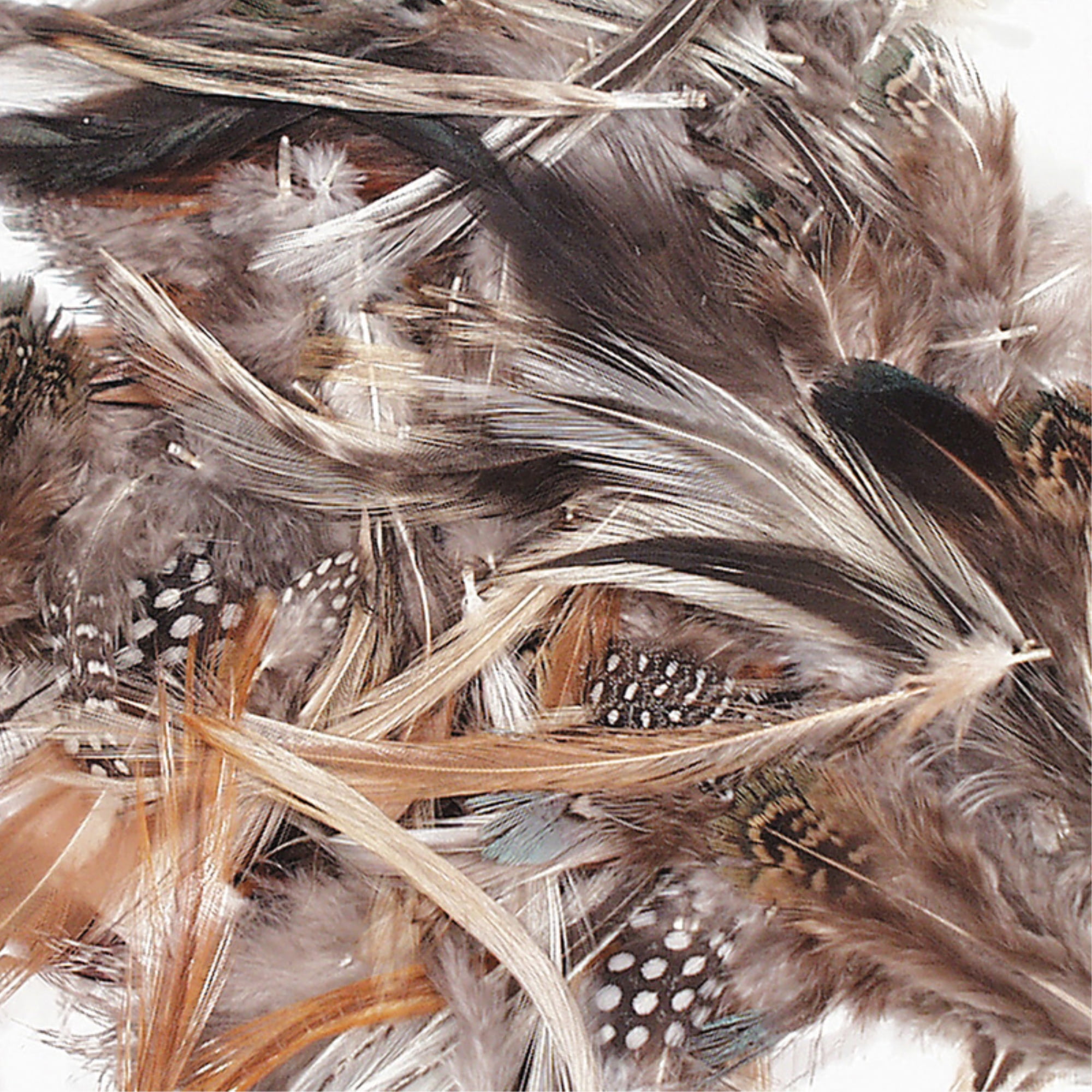 Creativity Street Natural Feathers, Natural Assorted Colors, Assorted Sizes, 1/2 oz
