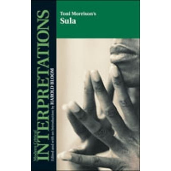 Pre-Owned Sula : Notes (Hardcover) 9780791051948