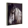 thumbnail image 3 of Stupell Industries Close Up Horse Face Portrait Animals & Insects Photography Gray Floater Framed Art Print Wall Art, 3 of 6