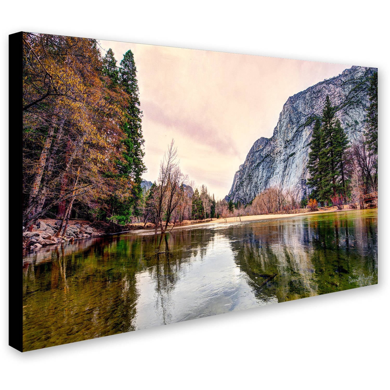 Trademark Fine Art "Yosemite Valley" Canvas Art by David Ayash