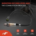 thumbnail image 2 of A-Premium O2 Oxygen Sensor Replacement for Hyundai Elantra 2010-2012 (2010 Elantra, Vin E Only) Tiburon 2007-2008 Kia Soul 2010-2011 I4 2.0L Upstream 4 wires 4 Terminals, 2 of 9