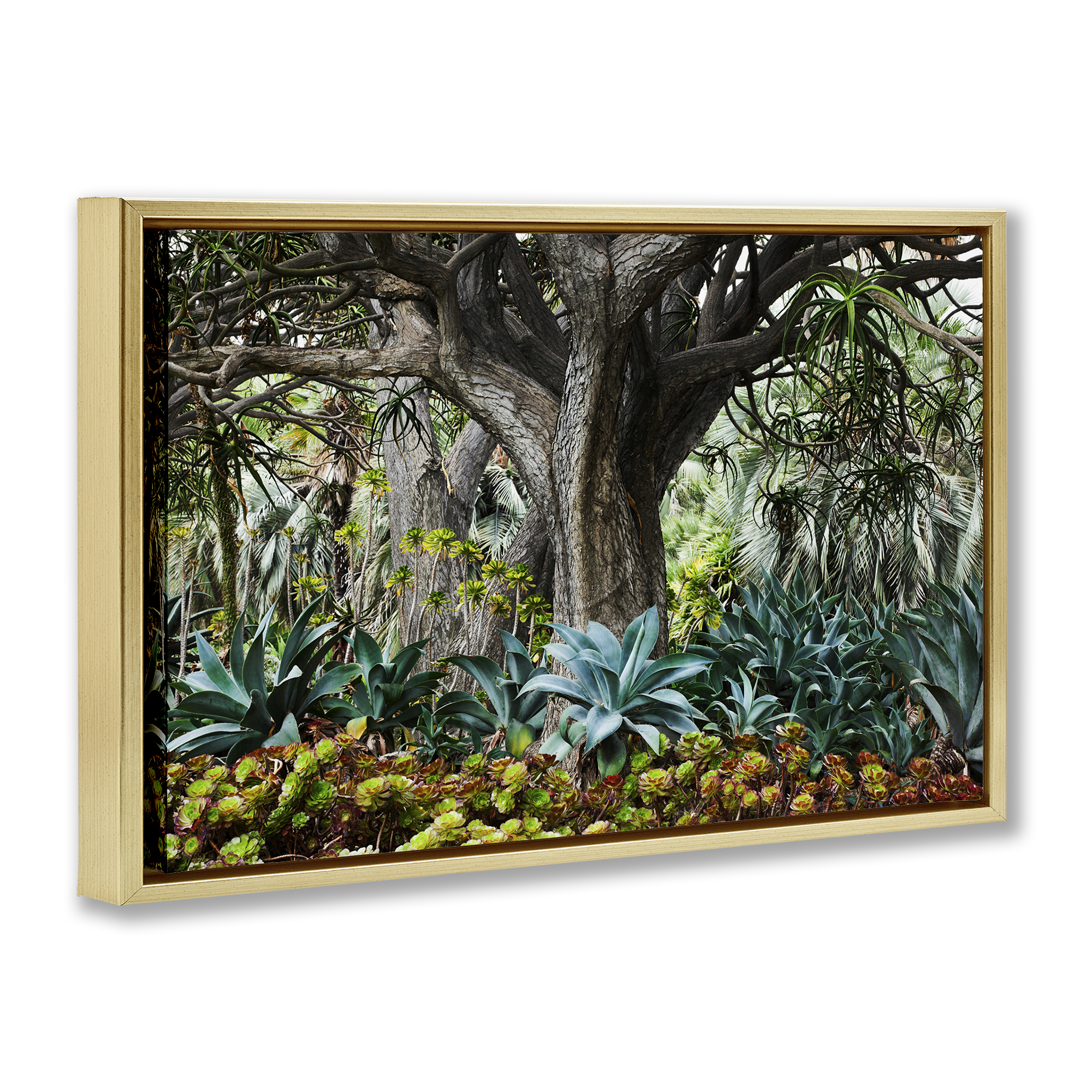 Stupell Industries Lush Tropical Vegetation Landscape & Nature Photography Gold Floater Framed Canvas Art Print Wall Art, 25 x 17