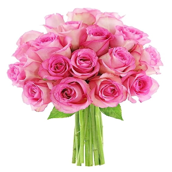 KaBloom :18 Pink Roses, Next-Day Delivery, Gift for Every Occasion.