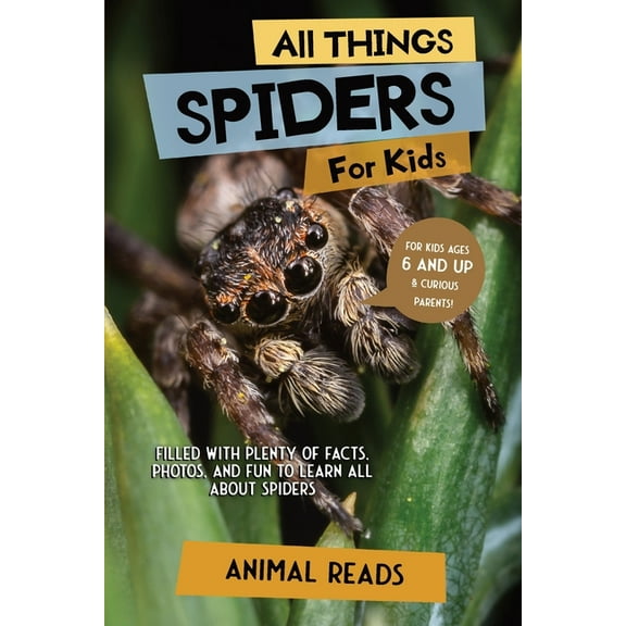 All Things Spiders For Kids: Filled With Plenty of Facts, Photos, and Fun to Learn all About Spiders, (Paperback)