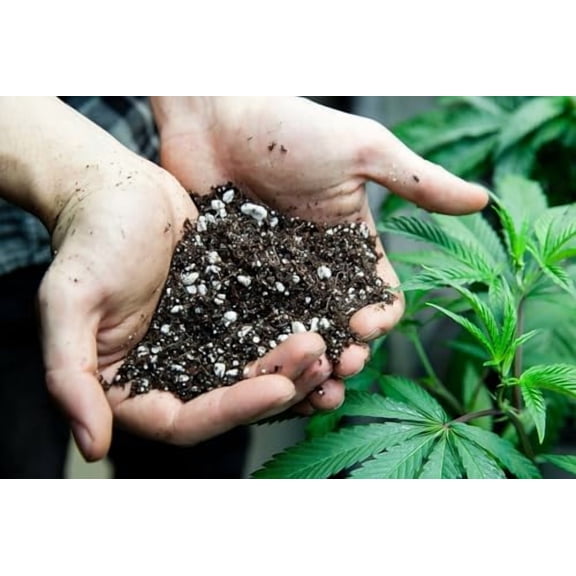 Organic Autoflower Plants Potting Soil Mix - Perfect Balance of Nutrients, Drainage, and Aeration for Thriving Autoflower Plants- 10 Quart