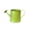 Green, variant on Mini Watering Can Metal Vintage Watering Pot with Long Spout Small Watering Can for Indoor Plants Home Decoration