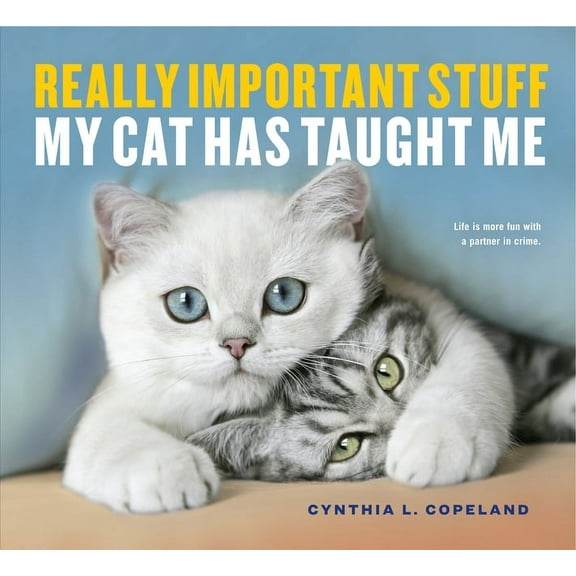 Really Important Stuff My Cat Has Taught Me, (Paperback)