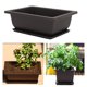 thumbnail image 4 of Maceta De Plástico Cuadrado Flor Bonsai Bowl Vivero Macetas Con Bandejas Para Decoración De Jardín 3 Uds Kearding TO003923-00, 4 of 5