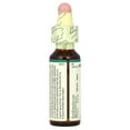 thumbnail image 3 of Bach Original Flower Remedies, Walnut, 0.35 fl oz (10 ml), 3 of 5