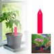 thumbnail image 2 of 100 Unidades De Etiquetas De Plástico Etiquetas Para Jardín Etiquetas Para Jardinería Etiquetas Para Suelo, 2 of 7