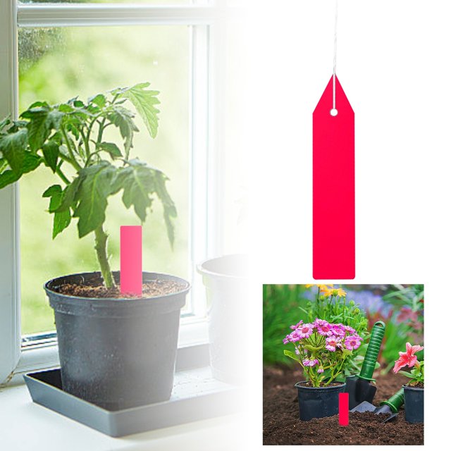 JJKBVCLO 100pcs Plastic Labels Garden Labels Flower Gardening Labels Ground Labels