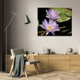 thumbnail image 3 of Dana Underdahl 18x15 Gallery Wrapped Canvas Wall Art Titled - Violet Water Lily I, 3 of 4