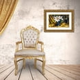 thumbnail image 3 of Chartier, Francois 14x10 Gold Ornate Wood Framed with Double Matting Museum Art Print Titled - A Star, 3 of 4