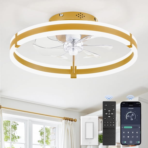 Ventilador de techo ZMISHIBO 50 cm Oro con luz LED y control remoto 220V