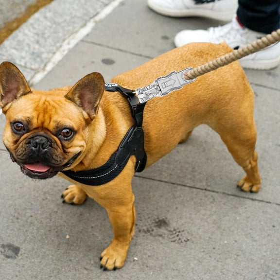 UPKOCH 2Pcs Silver Bolt Snap Hooks Metal Snaps for Pet Gear Secure Attachment Easy .8X1.3X1.2in