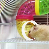 MIPCASE 10PCS Hamster Tube Tunnel Plastic Hamster Channel for Small Pets Owners Outdoor Use