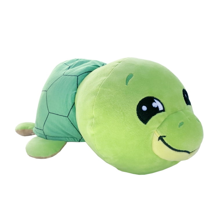 Flipazoo turtle store
