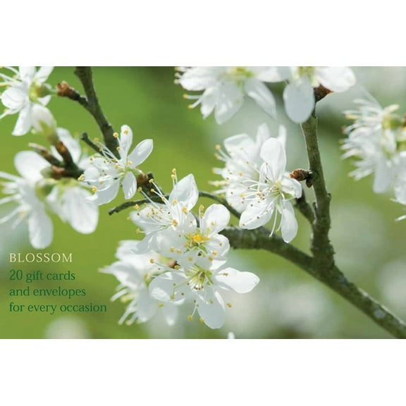 Blossom Notecards: 20 Gift Cards and Envelopes for Every Occasion (Other)
