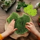 thumbnail image 2 of 1 bolsa de musgo Artificial, manualidades DIY, musgo falso, planta en maceta, musgo falso, macetero de interior, musgo falso, 2 of 5