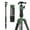 Green, variant on Fotopro Carbon Fiber Travel Tripod 59" Lightweight Camera Tripod Detachable Monopod with Ball Head Quick Release Plate Load up to 17.63lbs