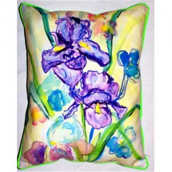 Two Irises Indoor & Outdoor Throw Pillow, 16 x 20 in.