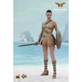 thumbnail image 4 of Wonder Woman (Training Armor Version) (MMS424) DC Comics Wonder Woman SIxth (1/6) Scale Movie Masterpiece, 4 of 5