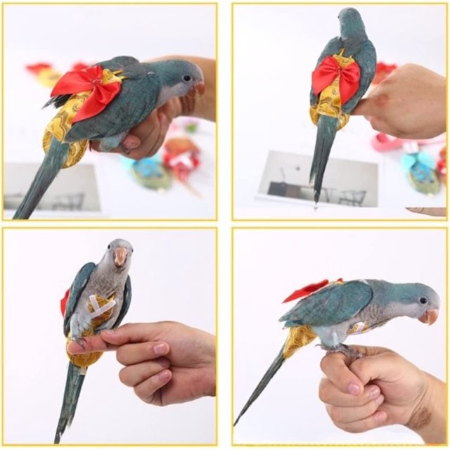 Pañales para trajes de vuelo de aves, pañales para trajes de vuelo de loros para Rosellas, trajes de vuelo para cacatúas, ropa de loro-XS