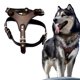 thumbnail image 1 of Pechera de piel Max & Maki para mascota, con ribete, ajustable, resistente y cómoda, G café. Max & Maki Pechera piel cafe G, 1 of 7