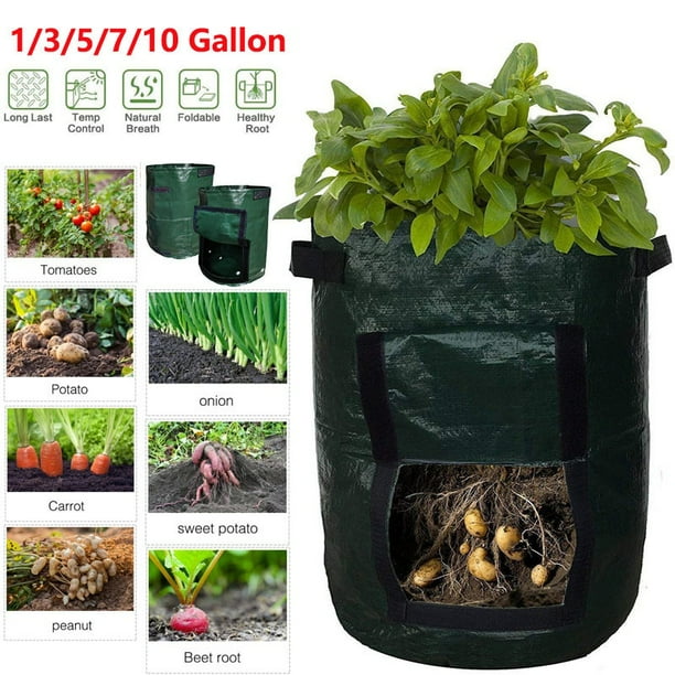 Plant Grow Bag Potato Grow Bags Planting Waterproof Pe Gardening Vegetable Planter Bag 1 3 5 7 10 Gallon Easy Drain Farm Home Garden Tool Walmart Com Walmart Com