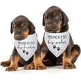 thumbnail image 5 of Promoted to Big Brother Sister Pet Dog Bandanas Triangle Scarf Bandanas Bibs Birthday Party Props Gender Revealing Photo Props Accessories for Pet Dog Lovers Gifts Pack of 2, 5 of 6