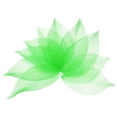 thumbnail image 1 of 100 Pcs Hojas Esqueléticas Verdes, 2"- 3" Hojas Prensadas de Árbol de Caucho para Álbumes de Fotos y Manualidades, 1 of 7