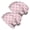 Pioneer Flower Floral Print Pattern, variant on Pioneer Flower Floral Print Pattern 2 Pack Slouchy Beanie Hat, Warm Winter Skull Cap with Stretchy Fabric & Soft Texture, Stretchy Polyester Gifts for Unisex Men Women