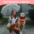 thumbnail image 3 of Collar,correa P,perro Con Luz Led Seguridad Paseo Nocturno Color Negro Tamaño del collar M, 3 of 8