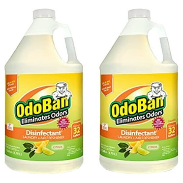 OdoBan Citrus Odor Eliminator and Disinfectant Multipurpose Cleaner Concentrate, 2 Gal, 3.79 Litre (2 Count),
