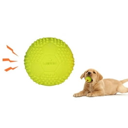 Flippy flopper dog frisbee walmart hot sale